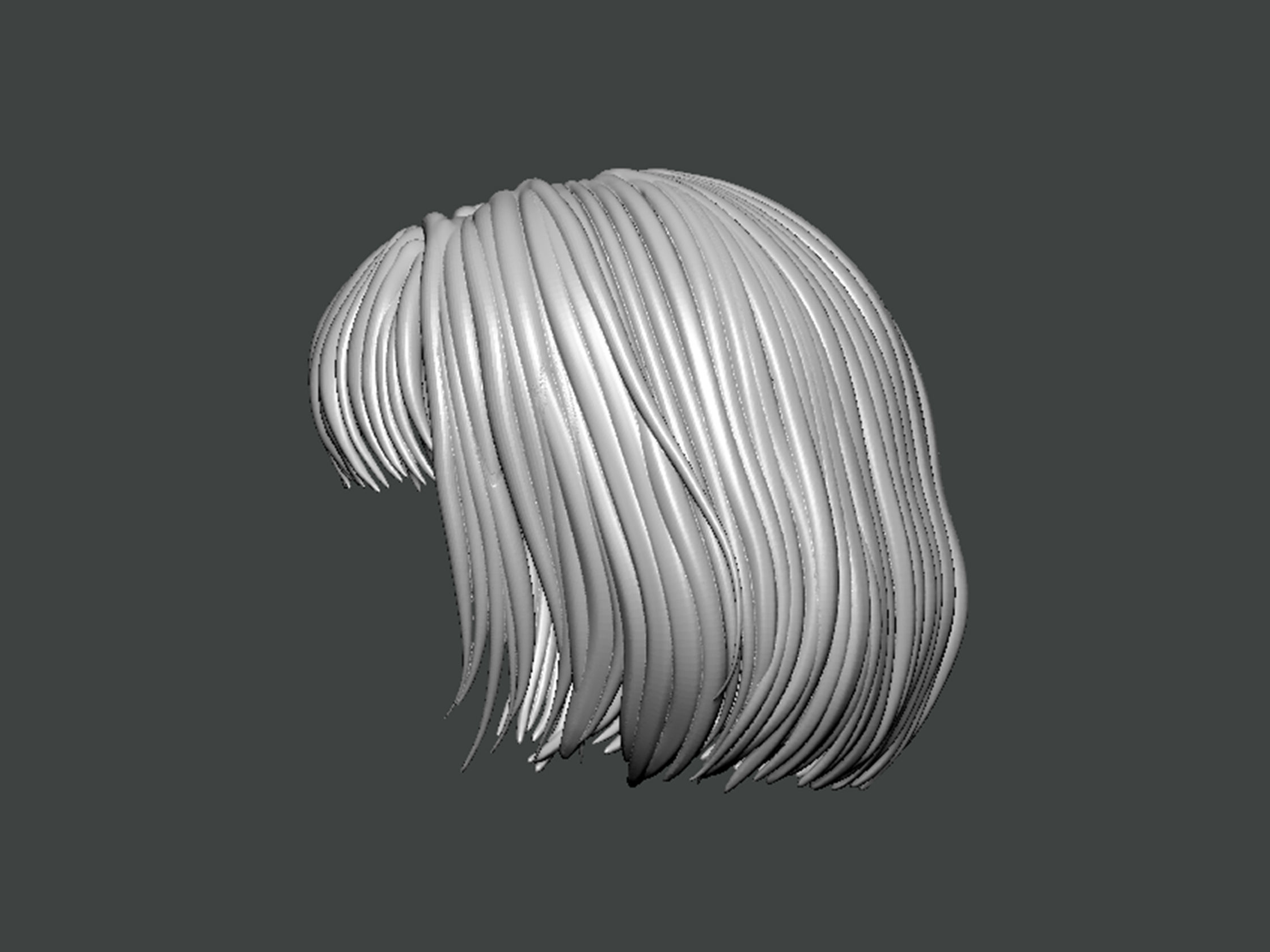 3D Model-HAIR0018 3D print model_2