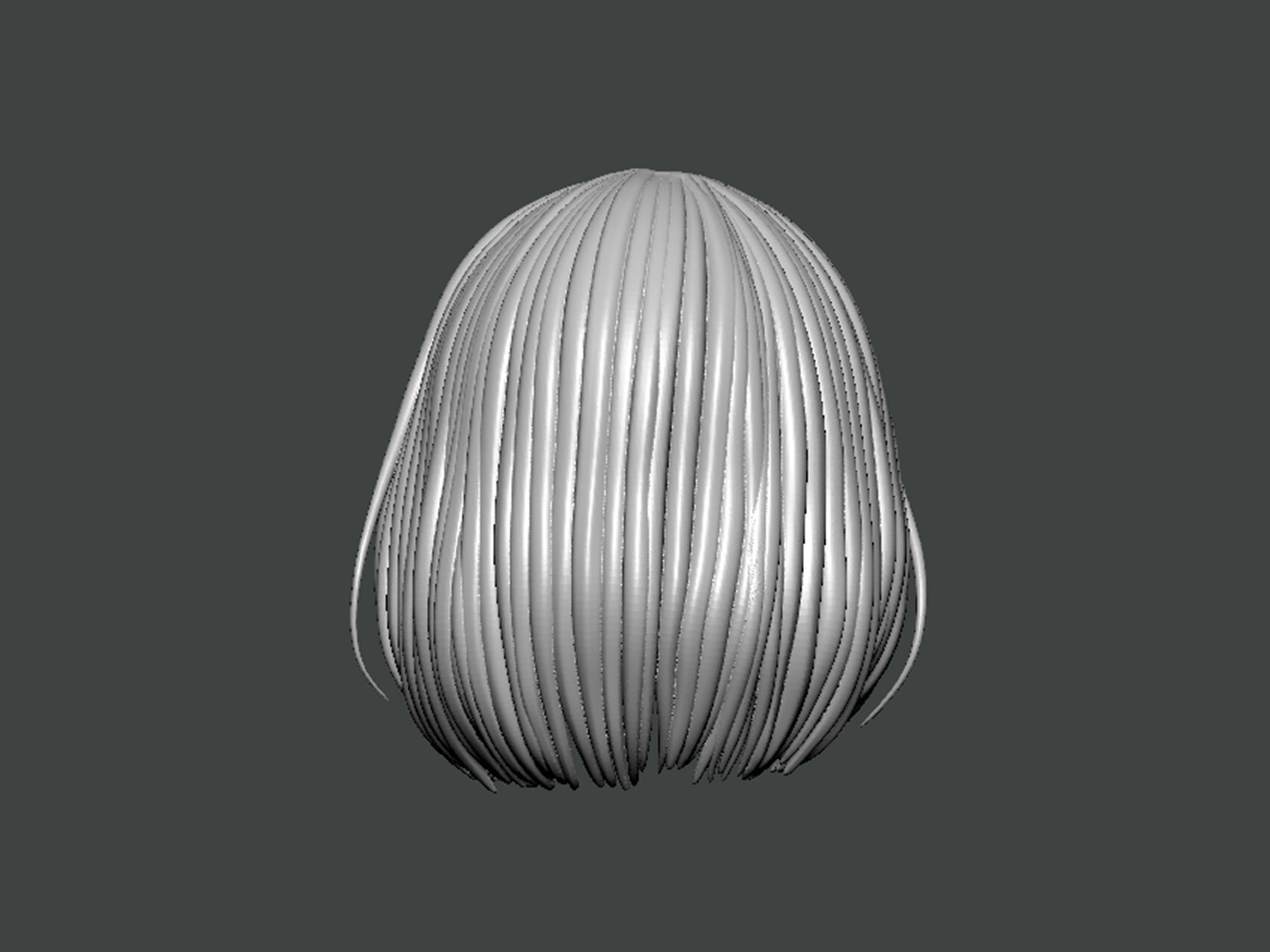 3D Model-HAIR0018 3D print model_3