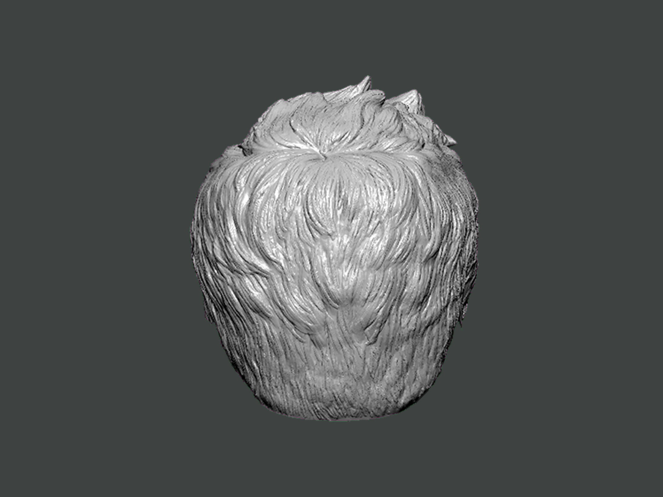 3D Model-HAIR0019 3D print model_3