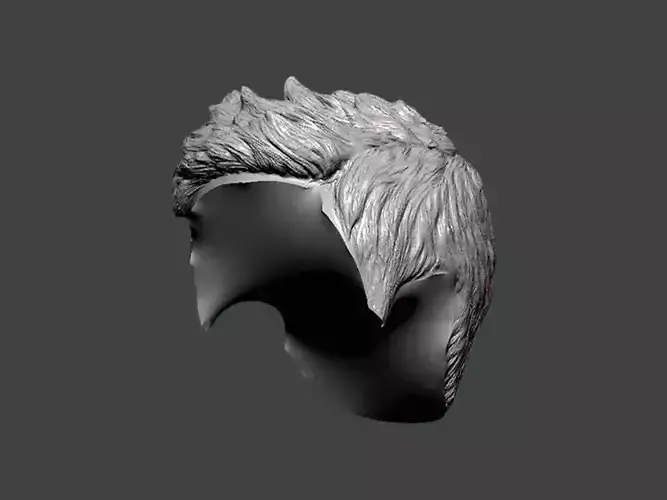 3D Model-HAIR0019