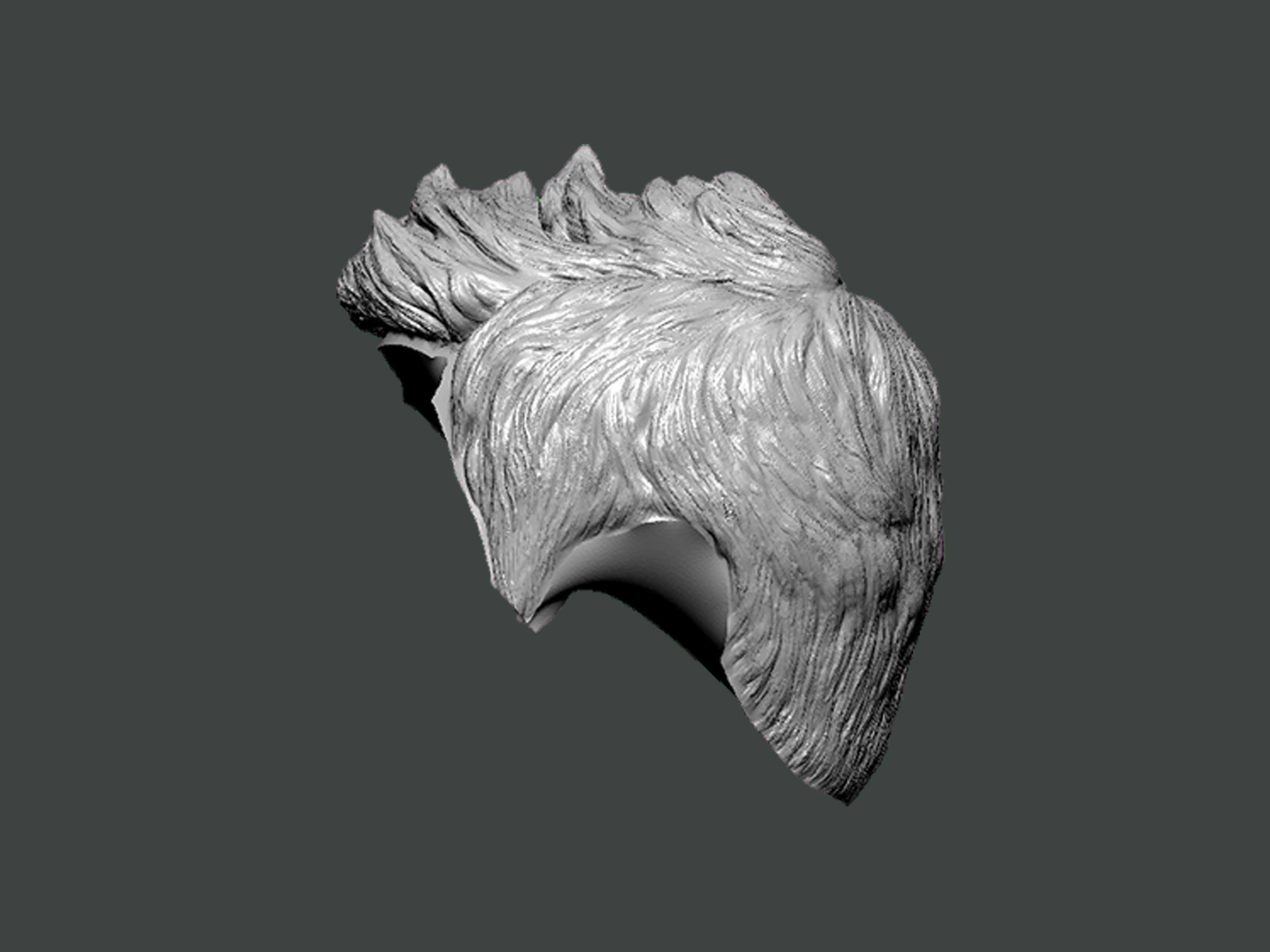 3D Model-HAIR0019 3D print model_2