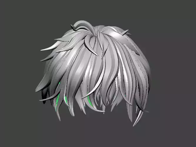 3D Model-HAIR0024