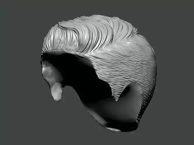 3D Model-HAIR0025