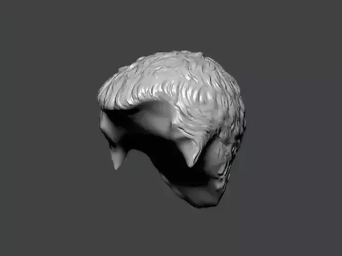 3D Model-HAIR0029