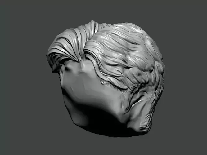 3D Model-HAIR0030