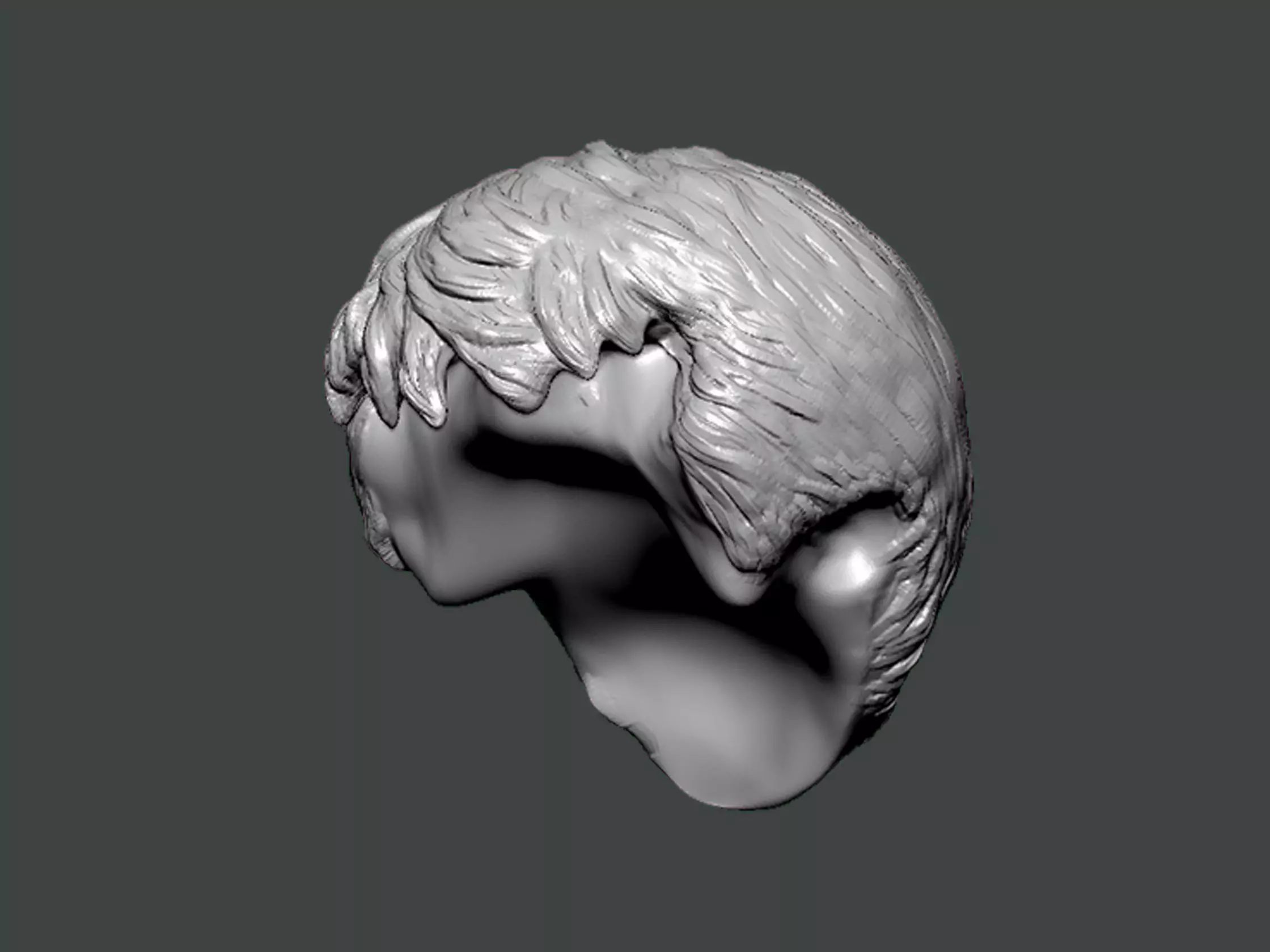 3D Model-HAIR0033 3D print model_0