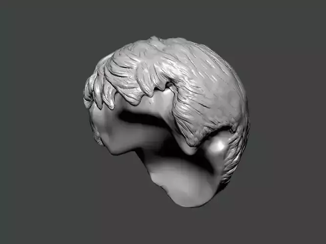 3D Model-HAIR0033