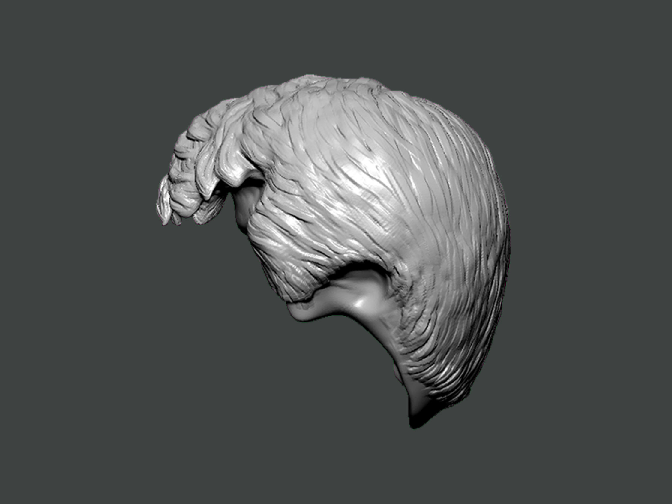 3D Model-HAIR0033 3D print model_2