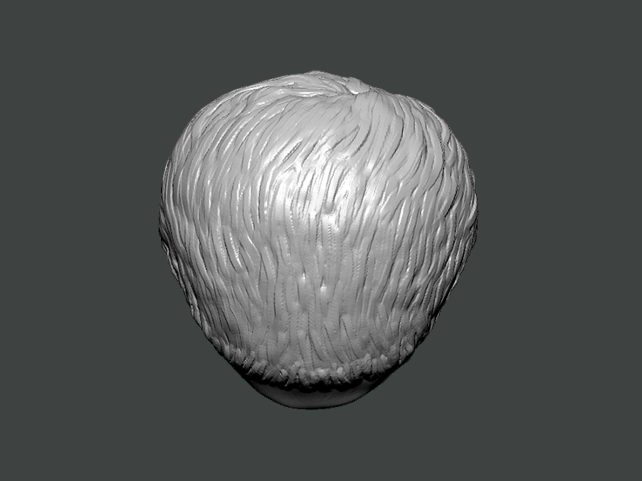 3D Model-HAIR0033 3D print model_3