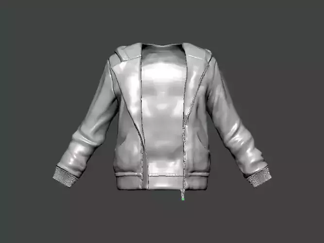 3D Model-CLOTHES0023 hoodie