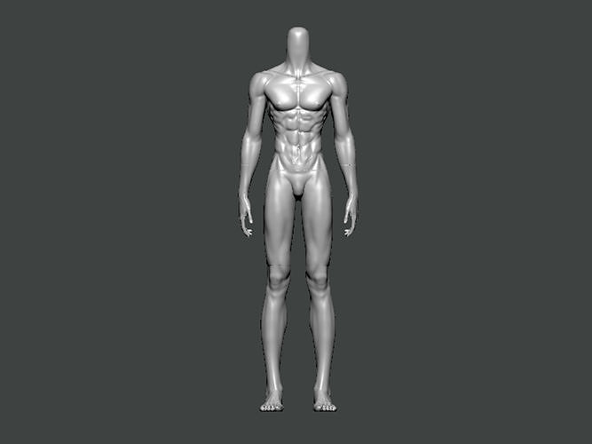 3D Model-ANATOMY0003 human torso 3D print model
