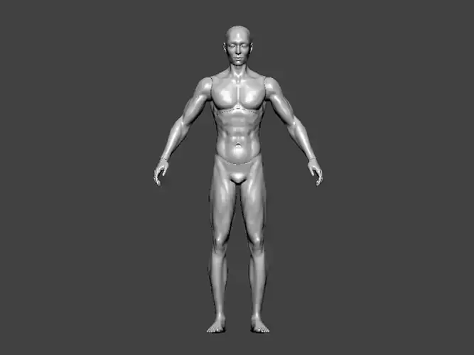 3D Model-ANATOMY0004 male body 3D print model