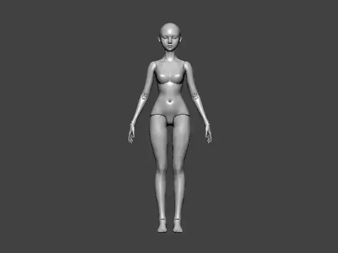 3D Model-ANATOMY0006 female figure