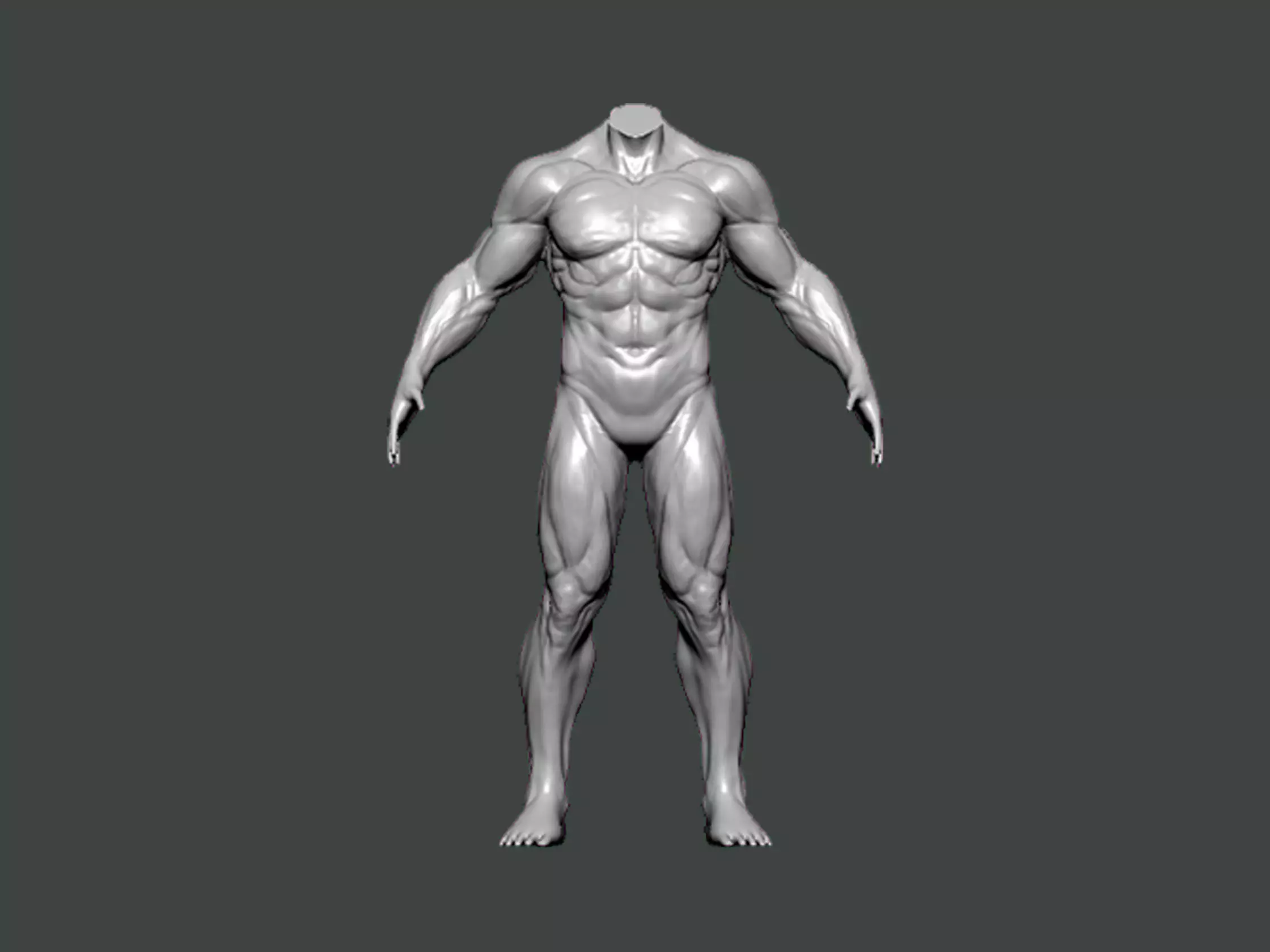 3D Model-ANATOMY0007 human body 3D print model