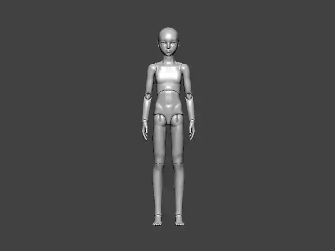 3D Model-ANATOMY0008 human figure