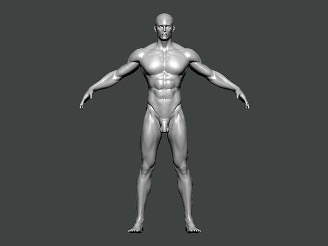 3D Model-ANATOMY0009 male mannequin 3D print model