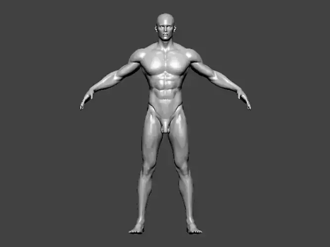 3D Model-ANATOMY0009 male mannequin
