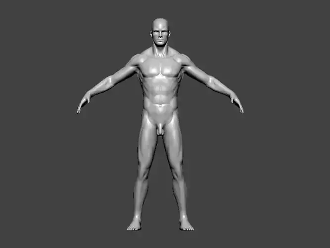 3D Model-ANATOMY0010 human body