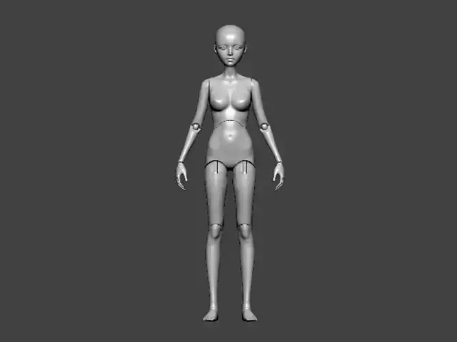 3D Model-ANATOMY0011 female figure
