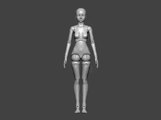 3D Model-ANATOMY0013 female mannequin