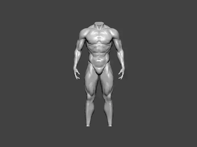 3D Model-ANATOMY0015 male mannequin