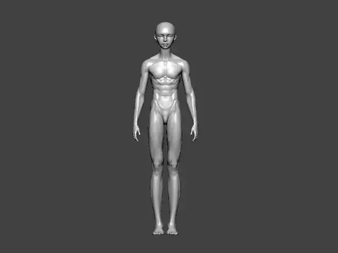 3D Model-ANATOMY0017 mannequin