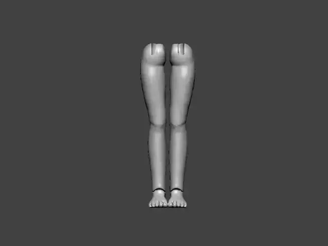 3D Model-ANATOMY0019