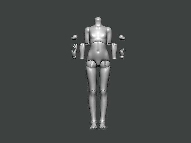 3D Model-ANATOMY0021 female mannequin 3D print model