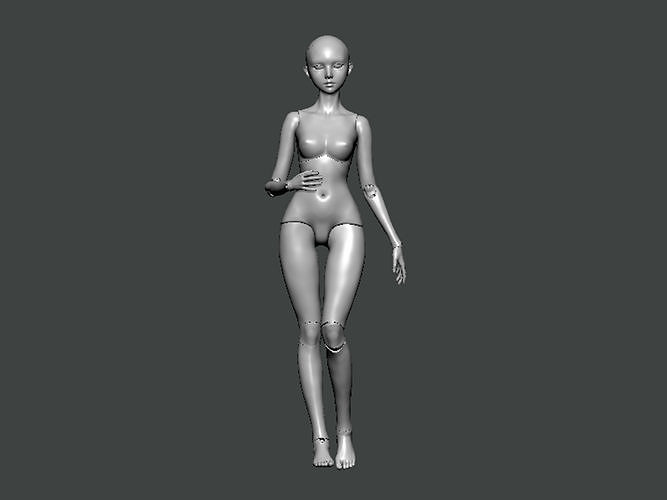 3D Model-ANATOMY0022 female mannequin 3D print model