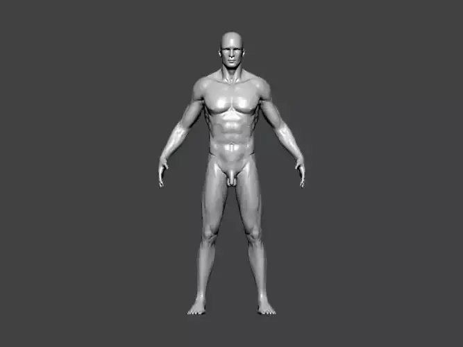 3D Model-ANATOMY0023 male figure