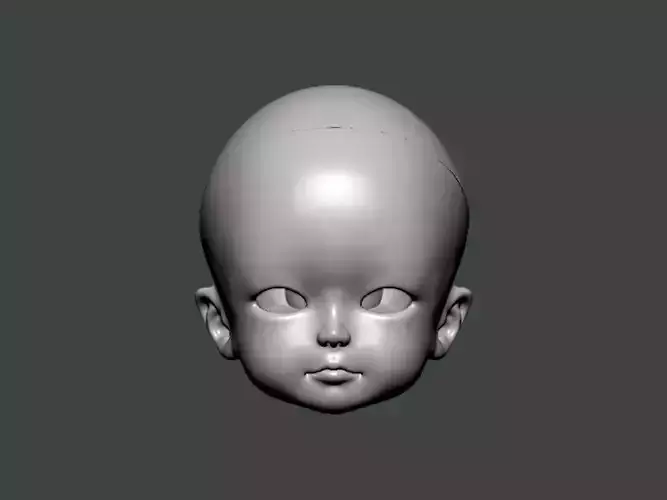 3D Model-ANATOMY0024