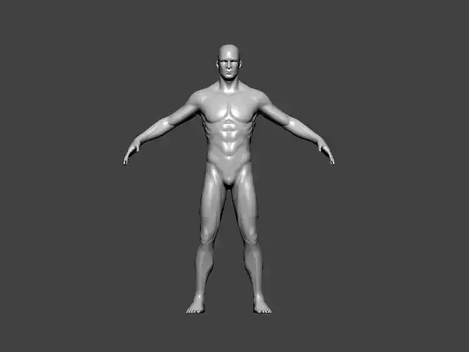 3D Model-ANATOMY0025 male mannequin