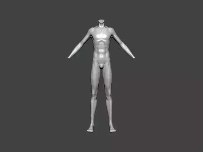 3D Model-ANATOMY0026 male mannequin