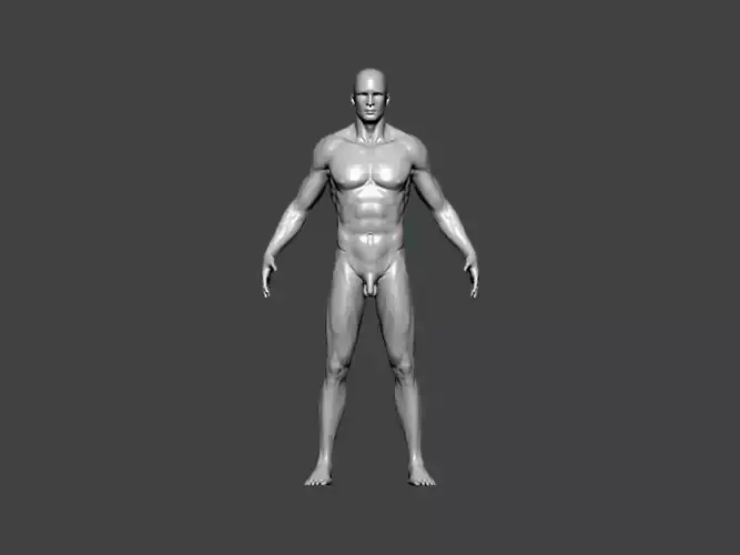 3D Model-ANATOMY0027 male body 3D print model