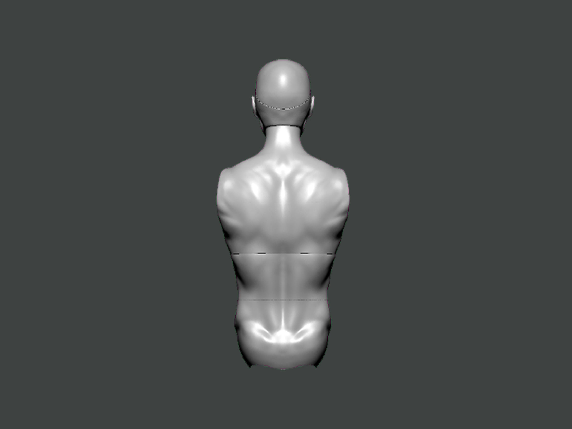 3D Model-ANATOMY0028 human torso 3D print model_3
