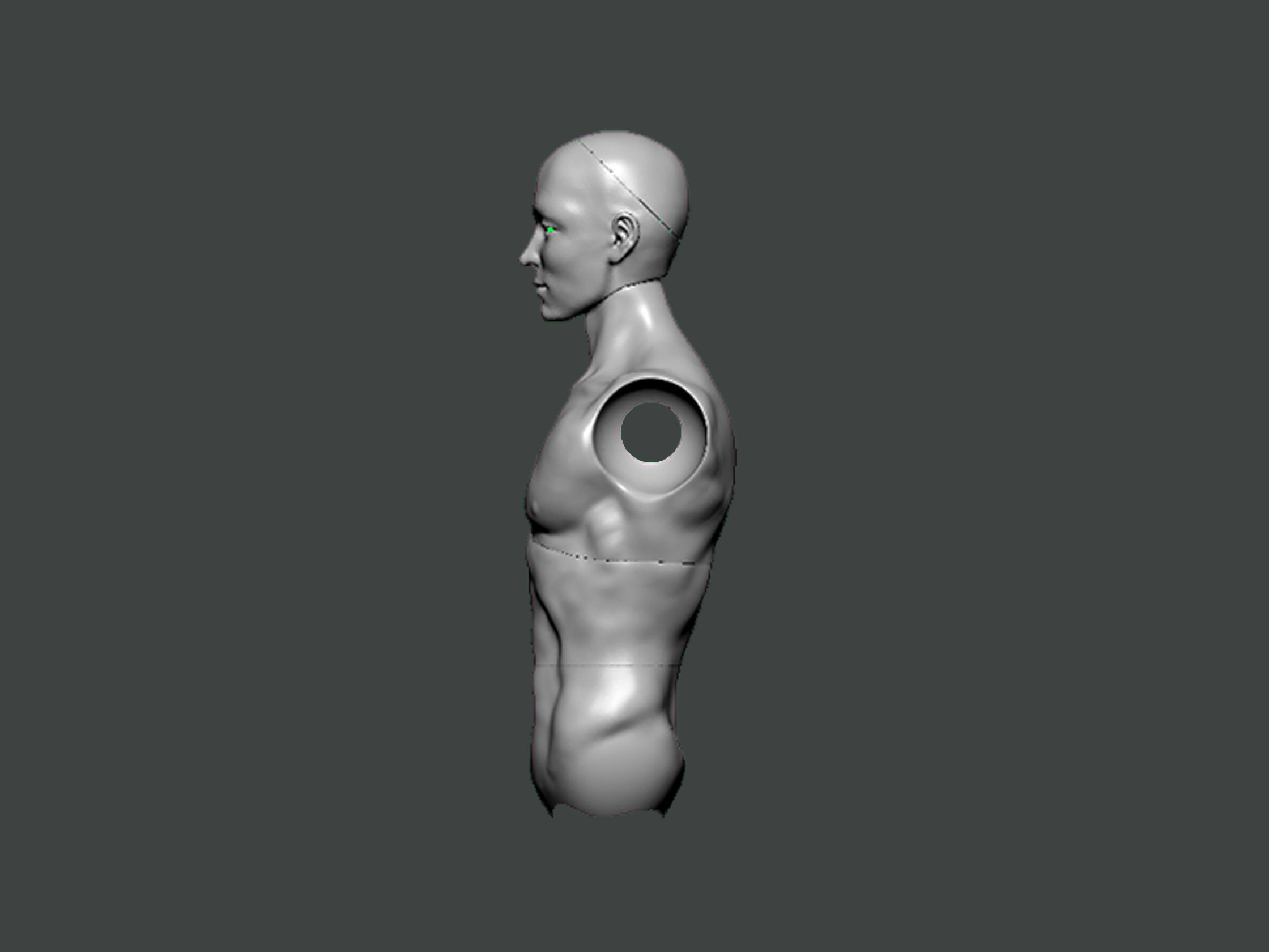 3D Model-ANATOMY0028 human torso 3D print model_2