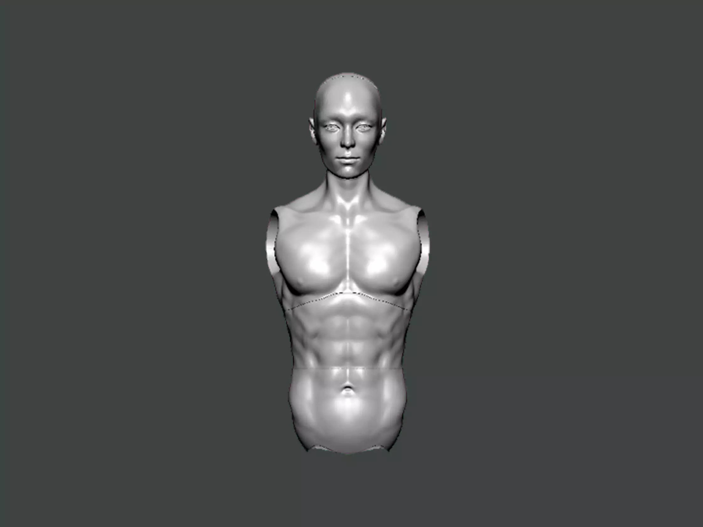 3D Model-ANATOMY0028 human torso 3D print model_0