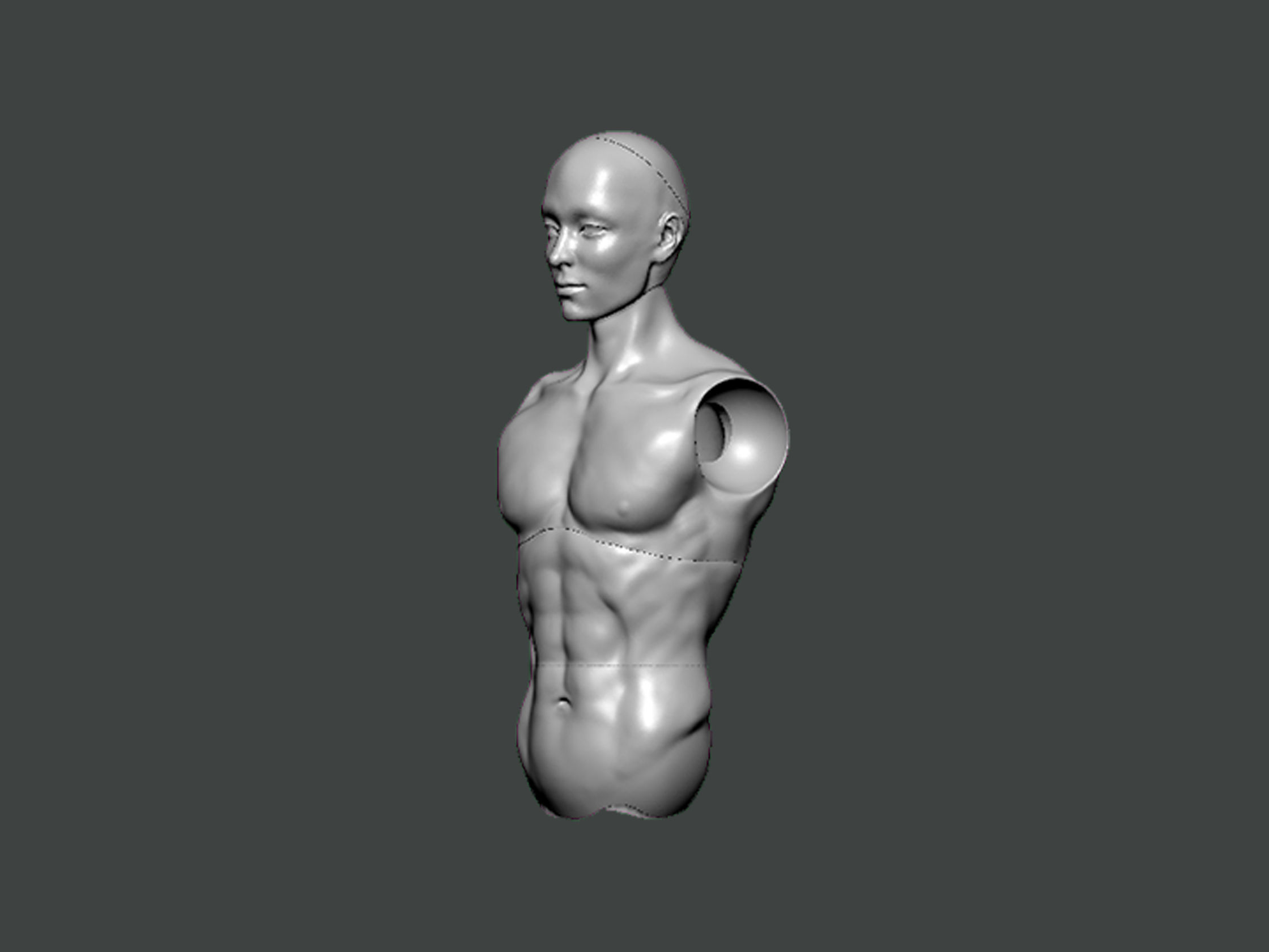 3D Model-ANATOMY0028 human torso 3D print model_1