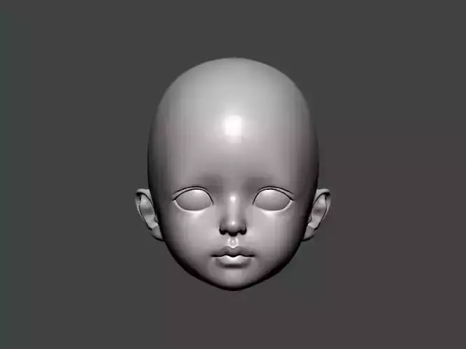 3D Model-ANATOMY0029