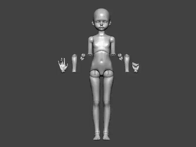 3D Model-ANATOMY0031 female figure with arms and hands