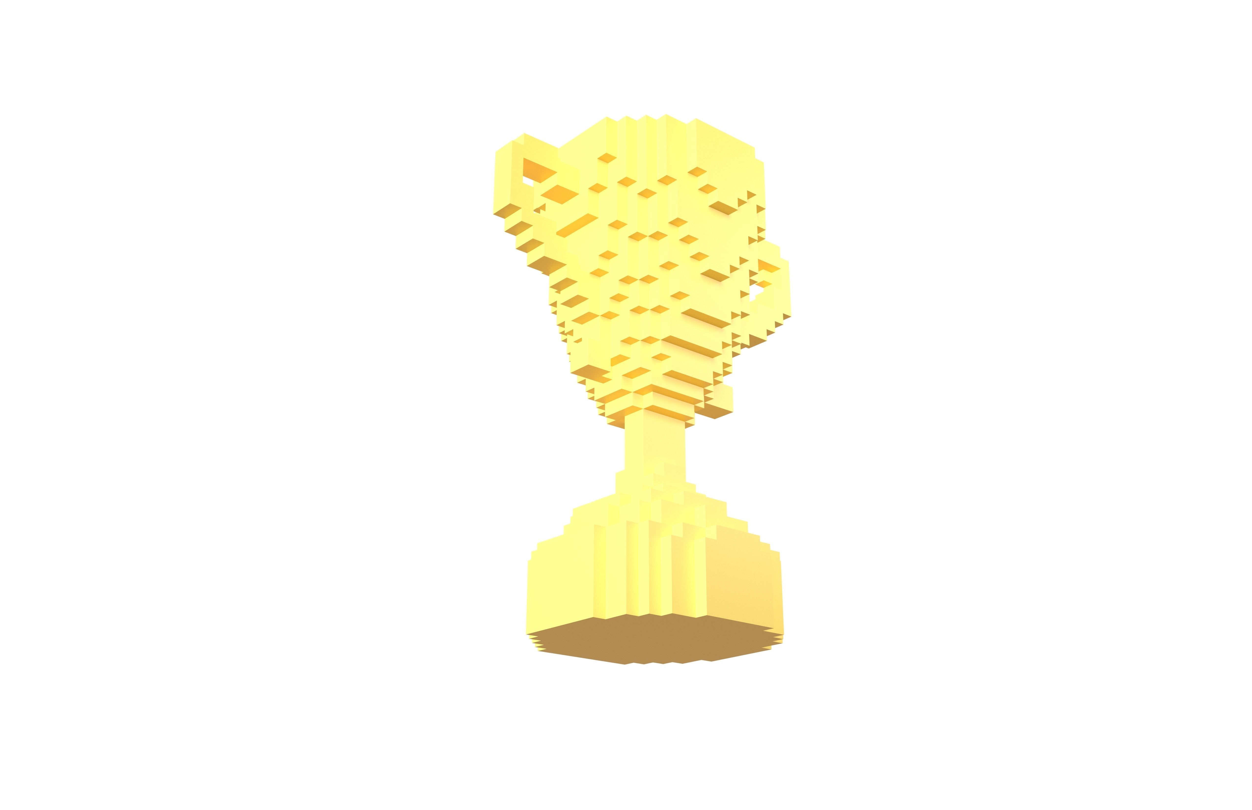 Voxel Trophy v1 001 Low-poly 3D model_3