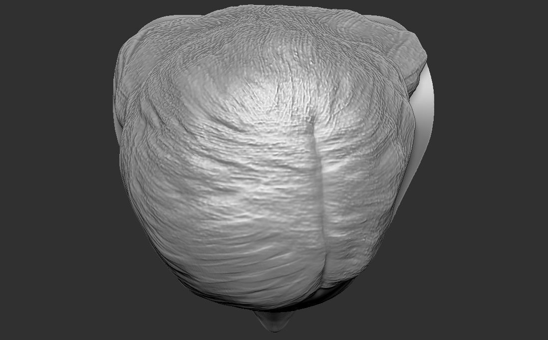 Kylie Jenner bust for 3D printing 3D print model_21