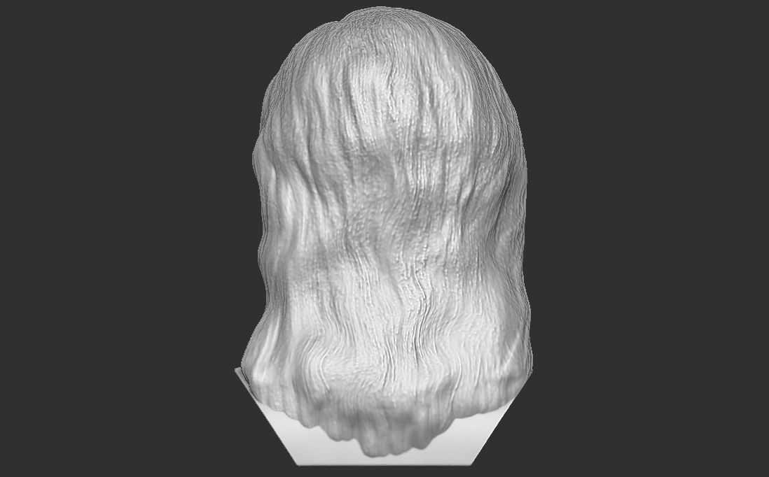 Kylie Jenner bust for 3D printing 3D print model_6