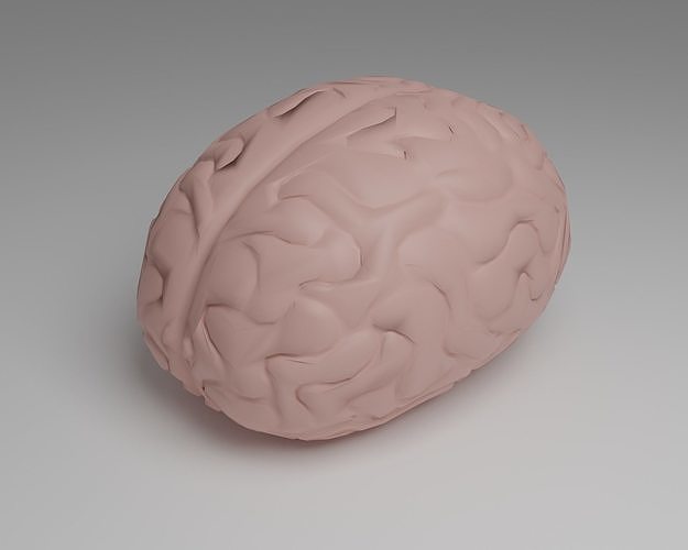 Brain Low-poly 3D model