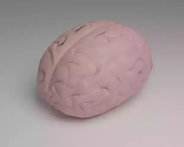 Brain Low-poly 3D model