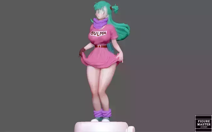  BULMA GIRL DRAGONBALL ANIME ANIMATION 3D PRINT