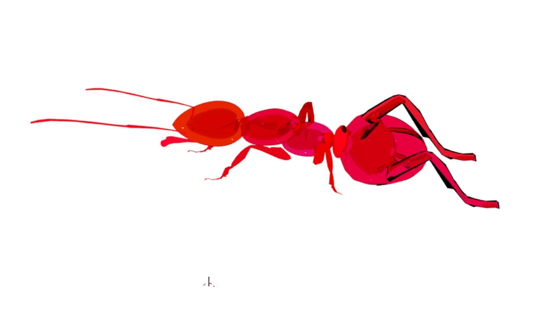 Insect ant 3D model_2