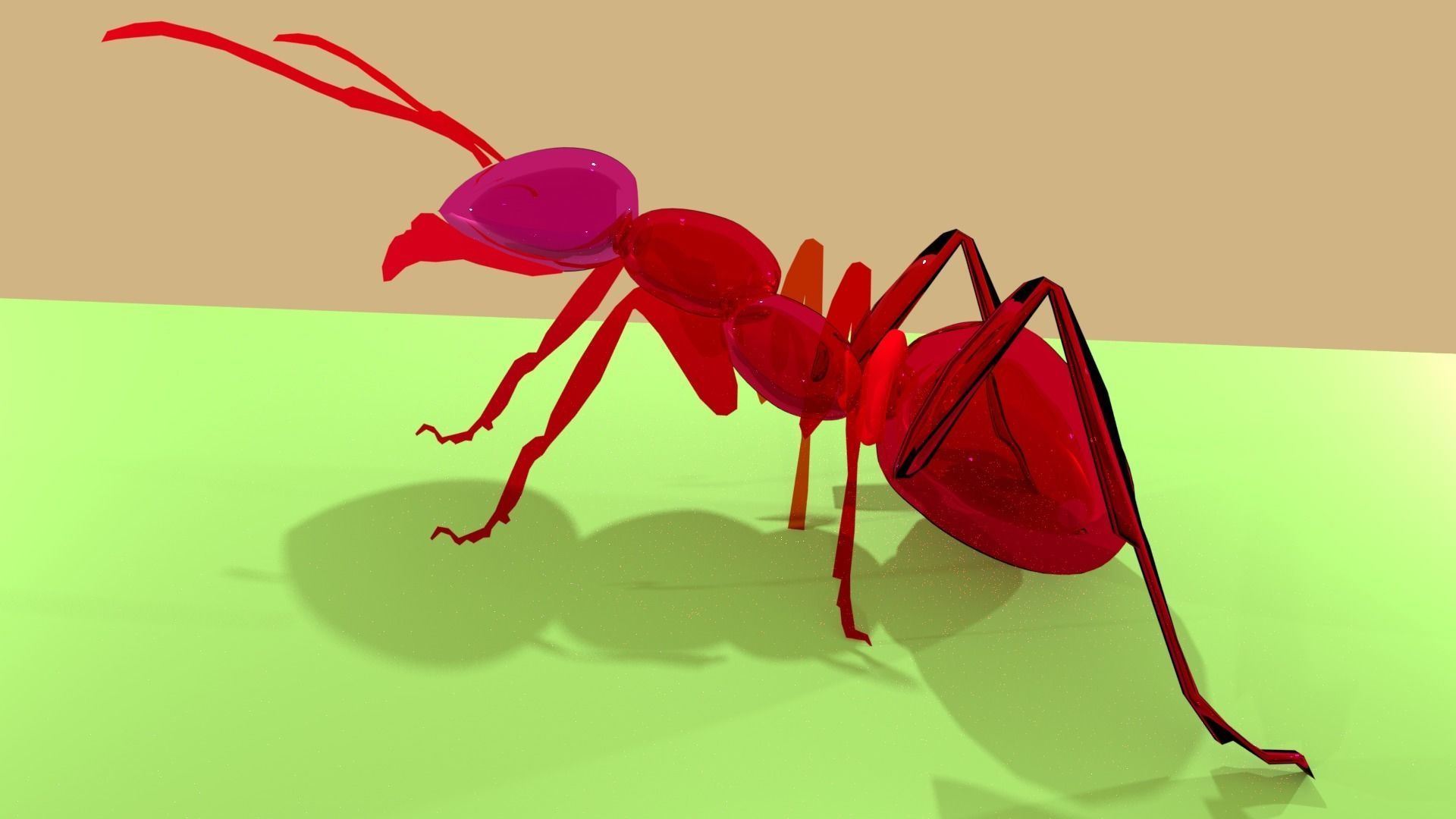 Insect ant 3D model_1