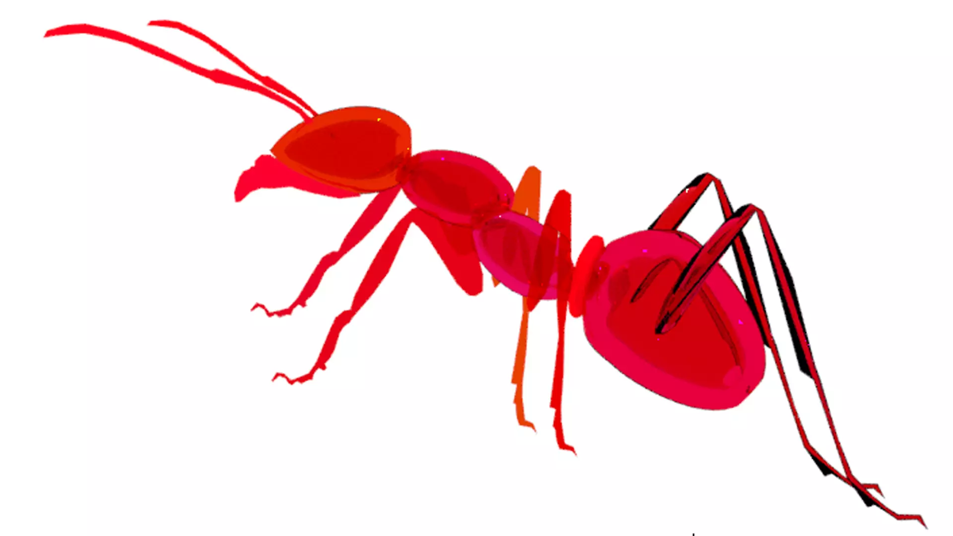 Insect ant 3D model_0