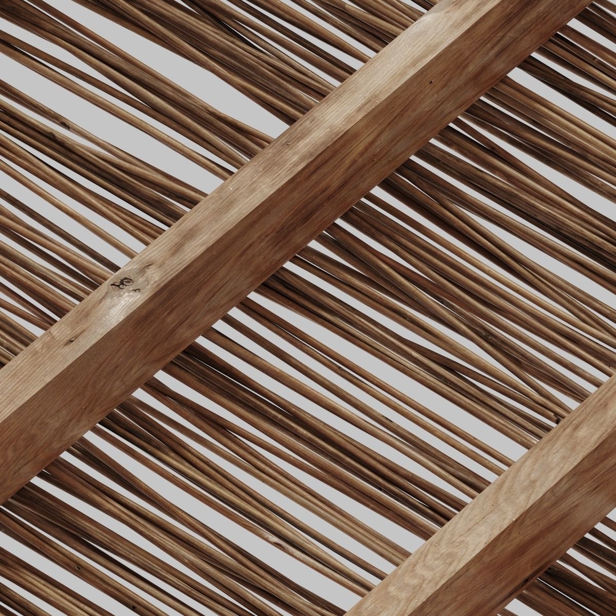 Branch thin thick decor n1 3D model_14